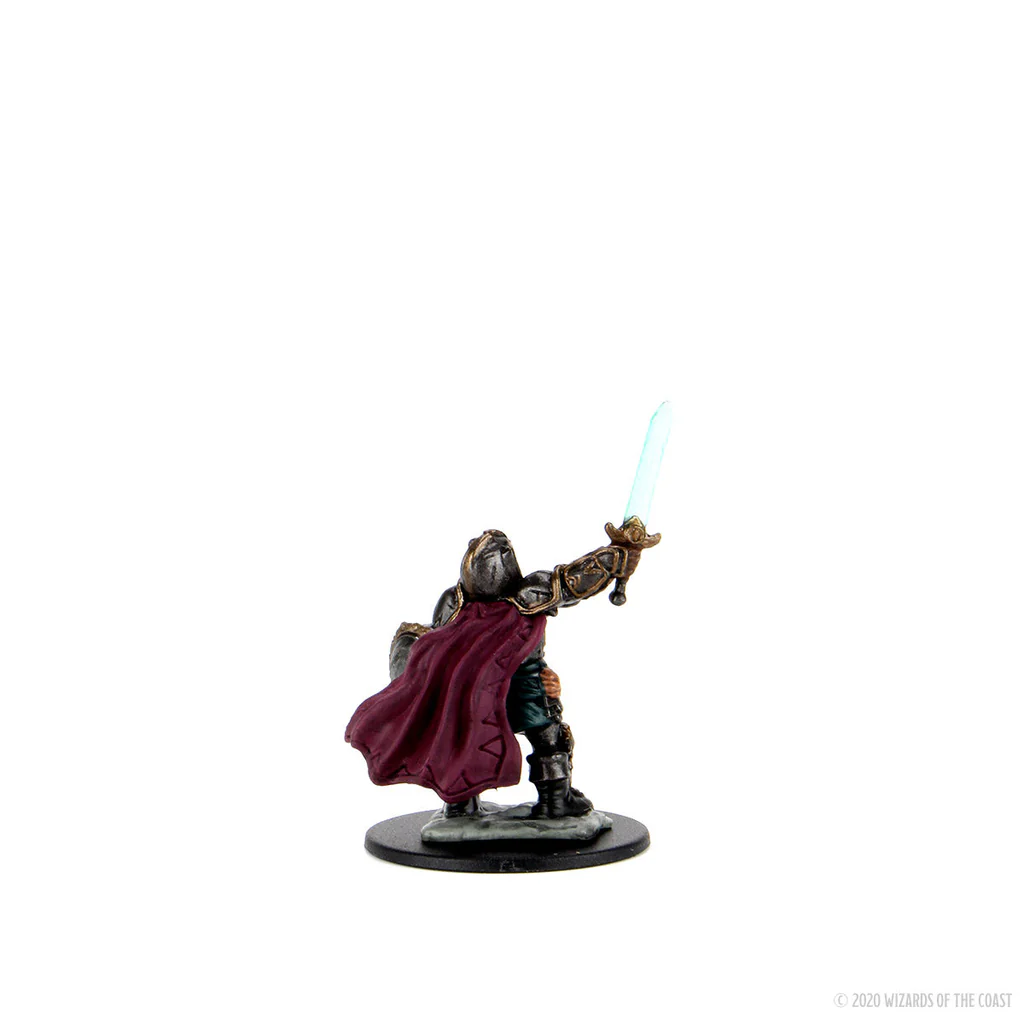 Figurine Naine Paladine Default Title