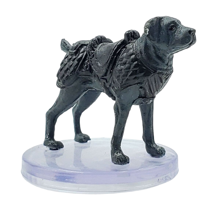 Chien de Selle