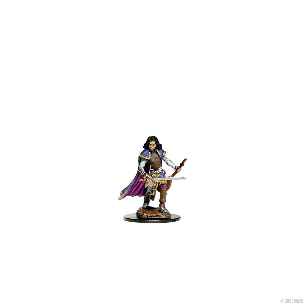 Pathfinder Battles: Premium Painted Figure - Human Bard Female Default Title