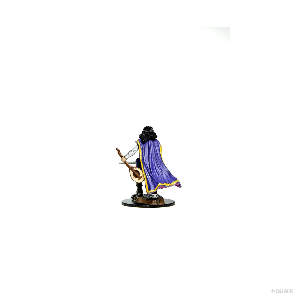 Pathfinder Battles: Premium Painted Figure - Human Bard Female Default Title