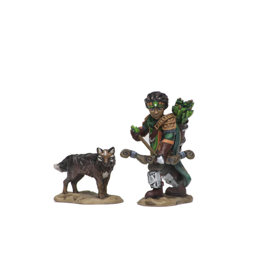 WizKids Wardlings RPG Figures: Boy Ranger & Wolf Default Title