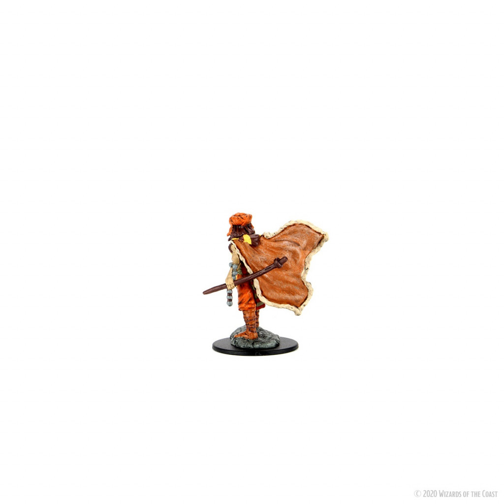 Druide Elfe