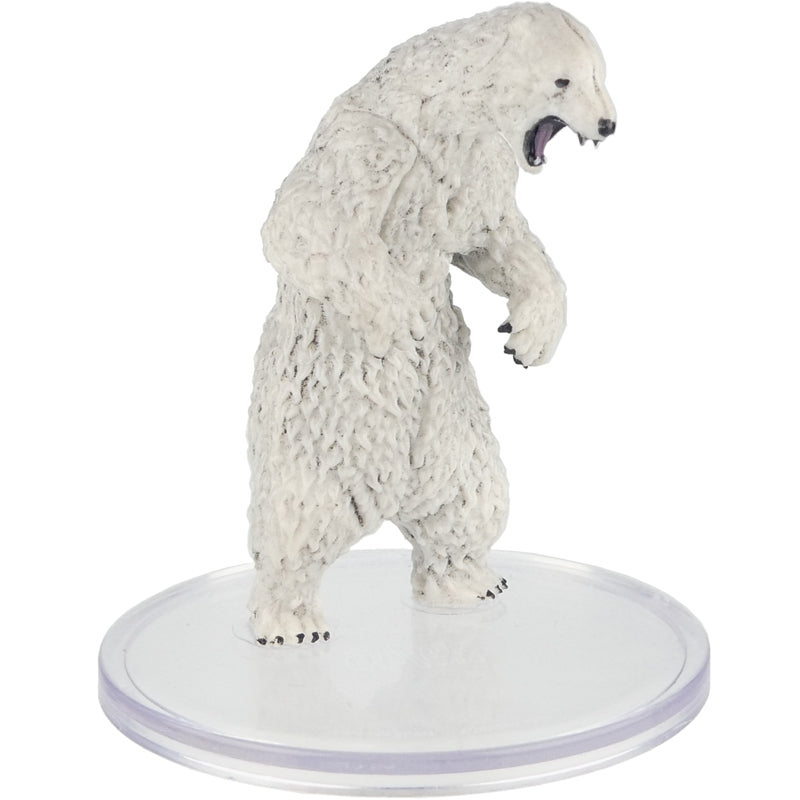 Ours Polaire