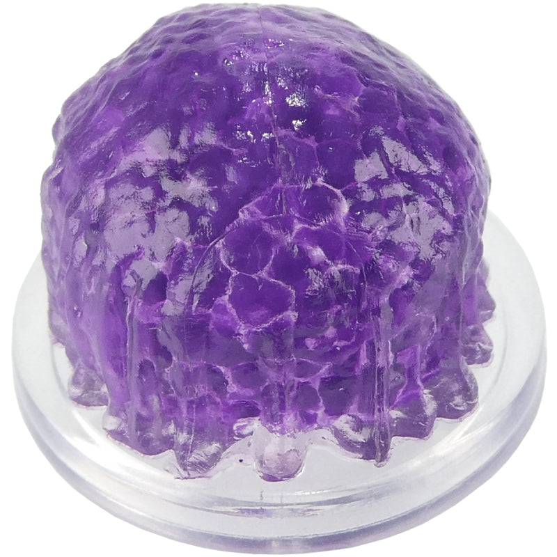 Œufs de Ver Pourpre