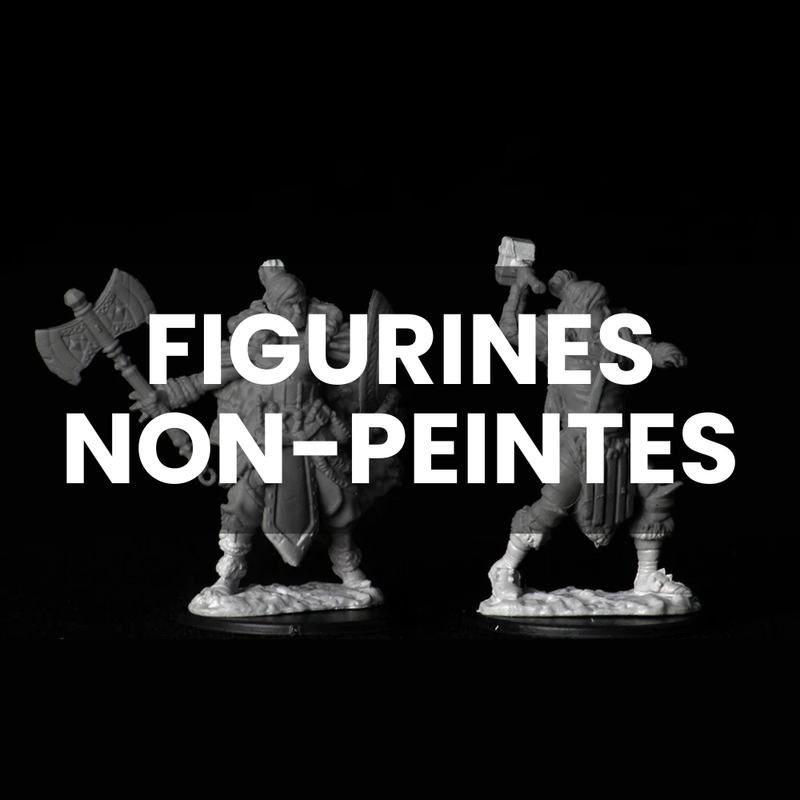 Figurine Non-Peintes - Le Donjon de la Guilde