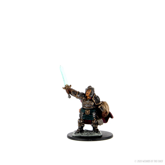 Figurine Naine Paladine Default Title 