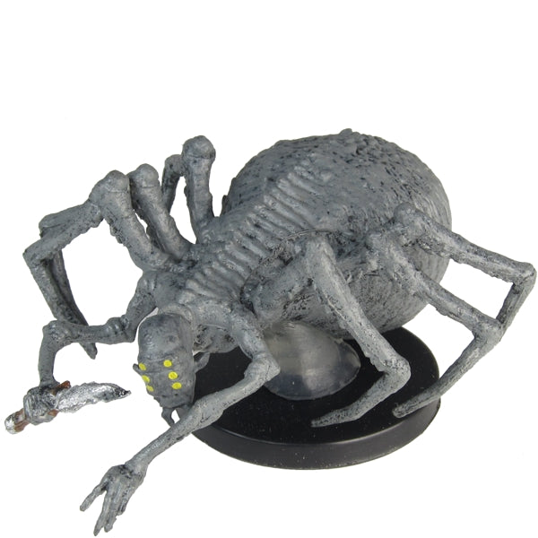 Choldrith
