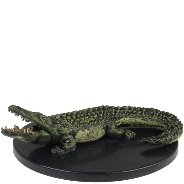Crocodile Default Title 
