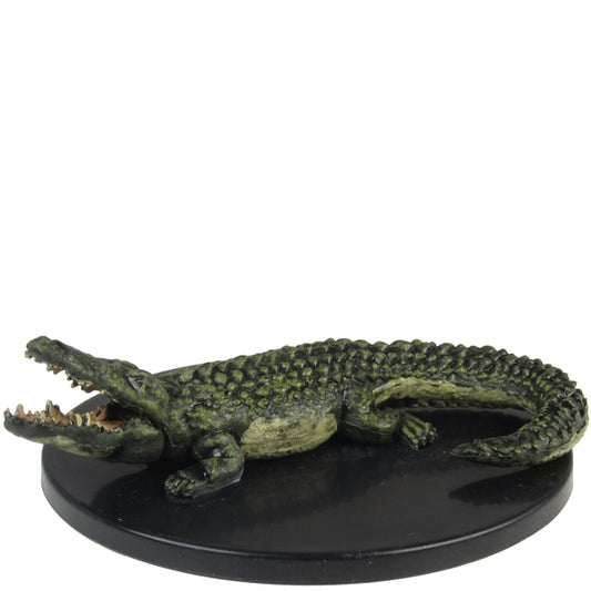 Crocodile Default Title 
