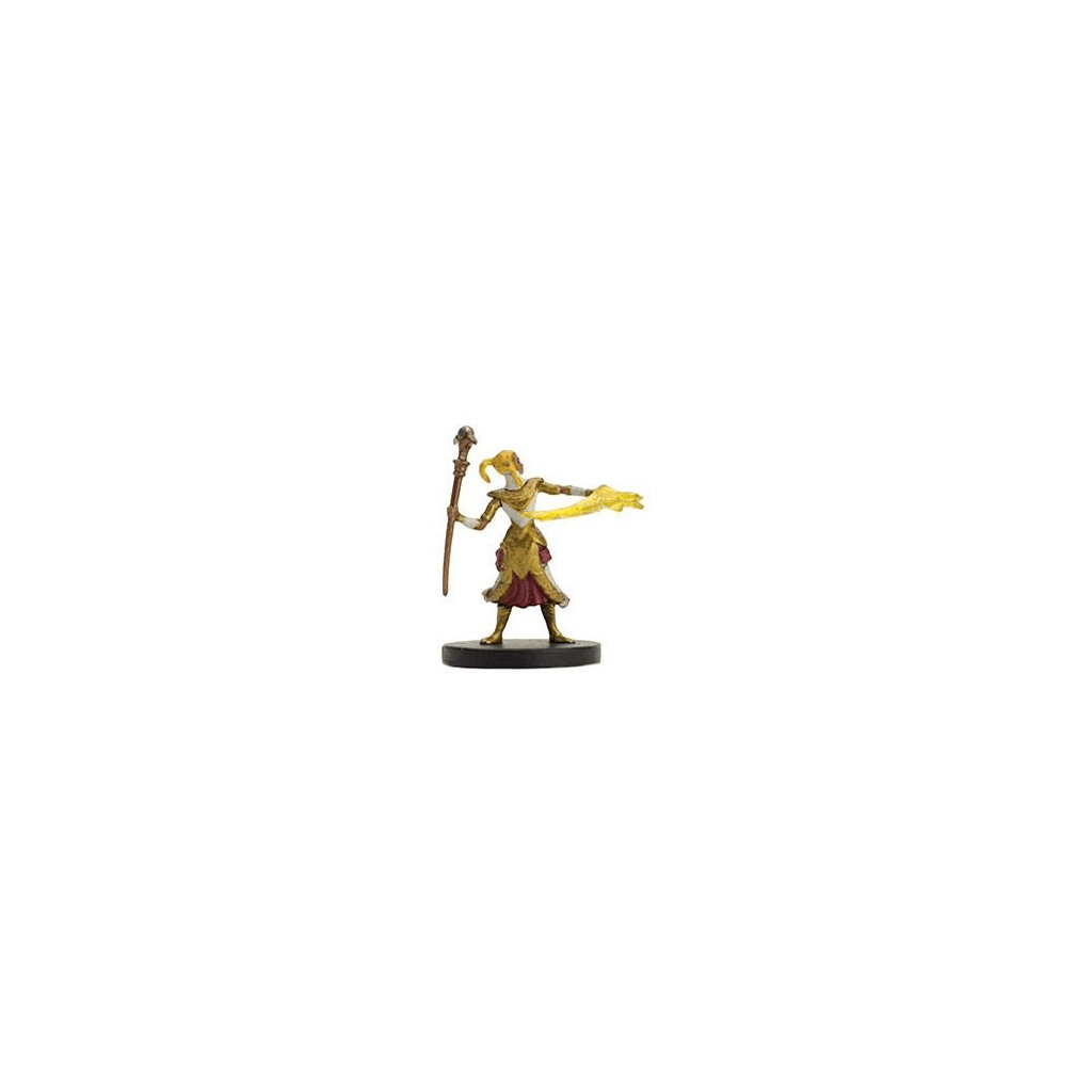 Dungeons & Dragons - Icons of the Realms : 7 Miniatures Epic Level Starter - Le Donjon de la Guilde
