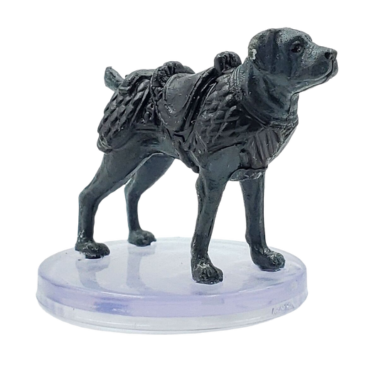 Chien de Selle