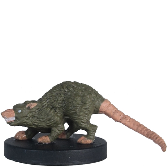 Rat Géant Default Title 
