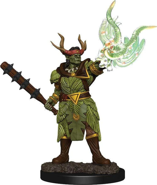 Miniature Pathfinder Battles : Druide Demi-Orque Default Title 