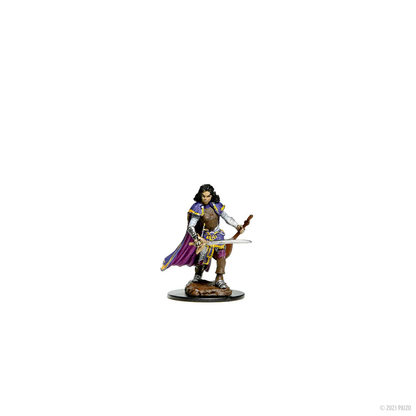 Pathfinder Battles: Premium Painted Figure - Human Bard Female Default Title 