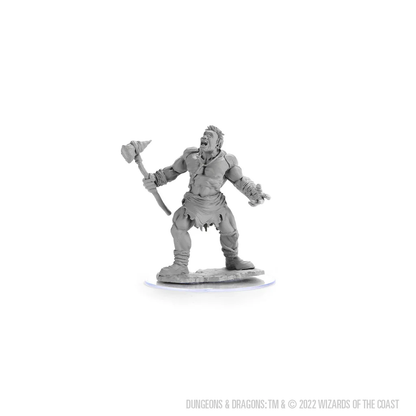 D&D Nolzur's Marvelous Miniatures: Cyclops Default Title 