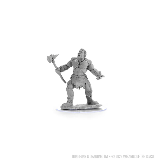 D&D Nolzur's Marvelous Miniatures: Cyclops Default Title 