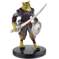 Tabaxi Fighter