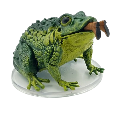 Crapaud Géant