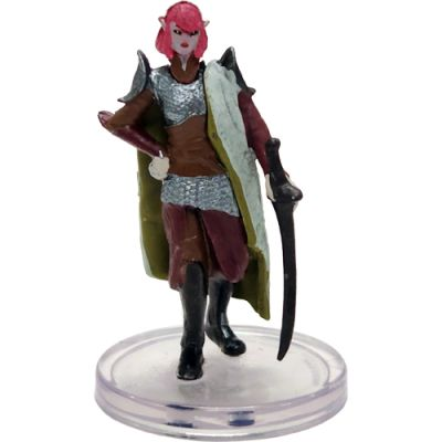 Aristocrate Elfe Astral - Le Donjon de la Guilde