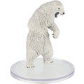 Ours Polaire