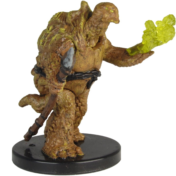Tortle Druide